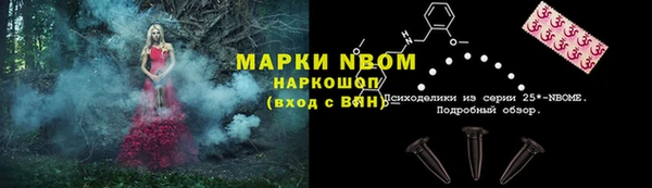 apvp Верея