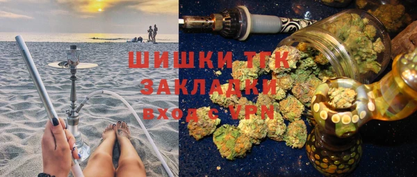 шишки Бородино