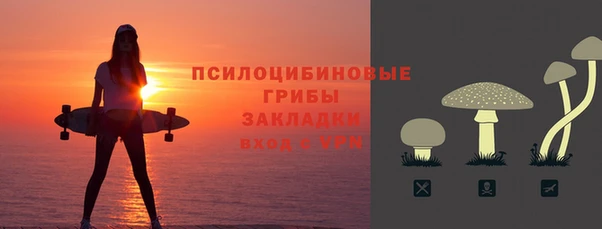 apvp Верея