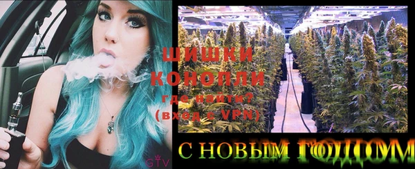 крисы Бугульма