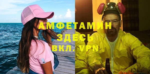 шишки Бородино