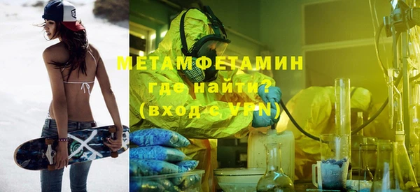 шишки Бородино
