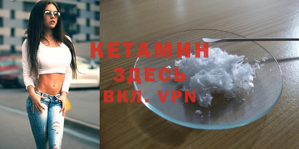 шишки Бородино